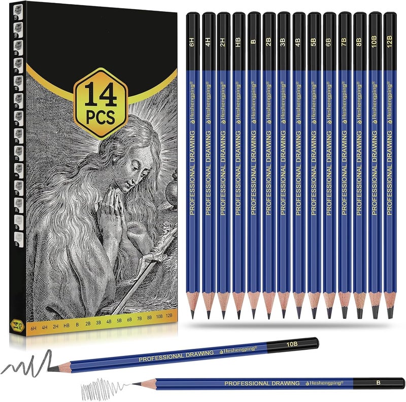 Daerthotk Pro Pencils Drawing Sketching Set 14 pcs Graphite (12B - 6H) Kit Soft Pencils Ideal Gift for Drawing Art, Sketching, Shading, Artist Pencils for Beginners Pro Artis - Image 1